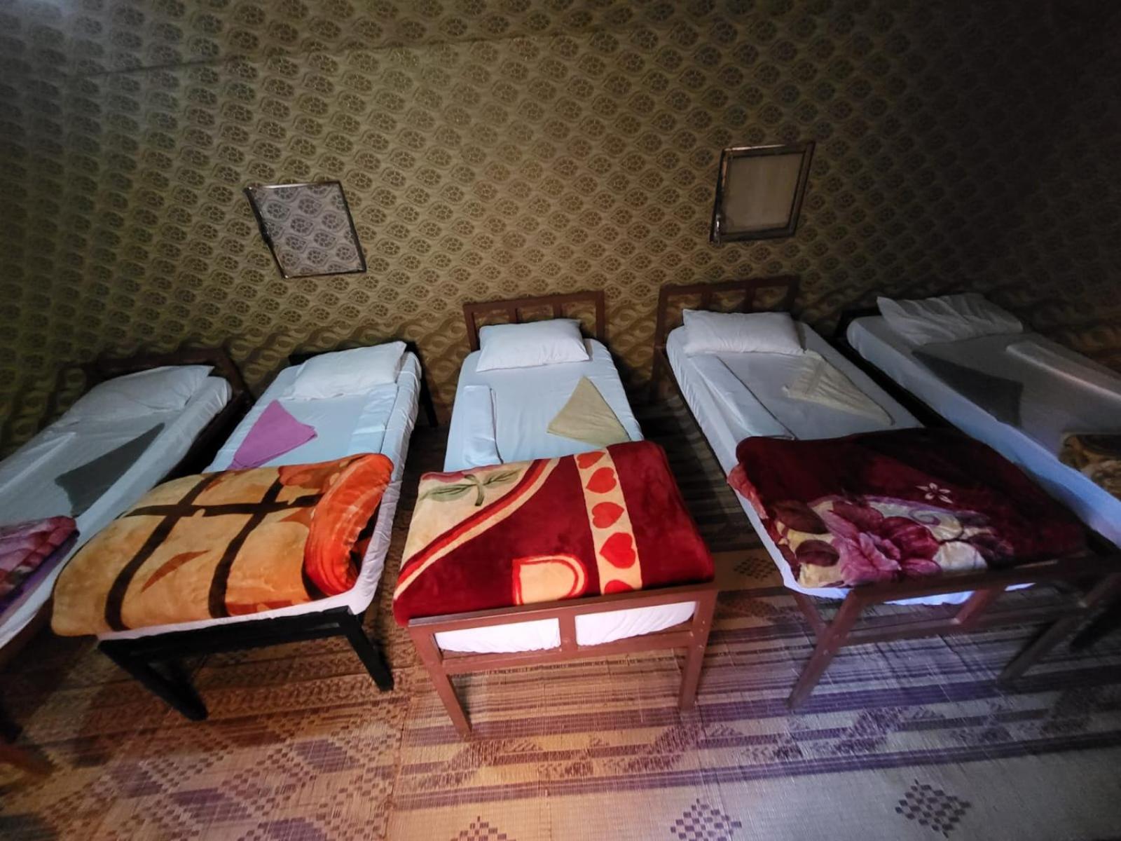 Desert Dream Camp Wadi Rum Room photo